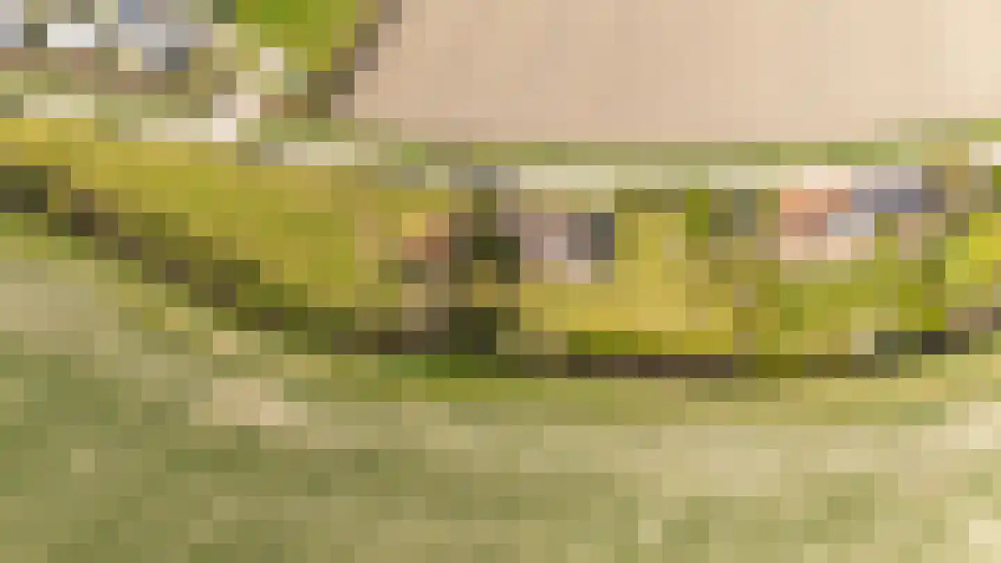 Mosseldijk 9 Nieuwvliet thumbnail 47