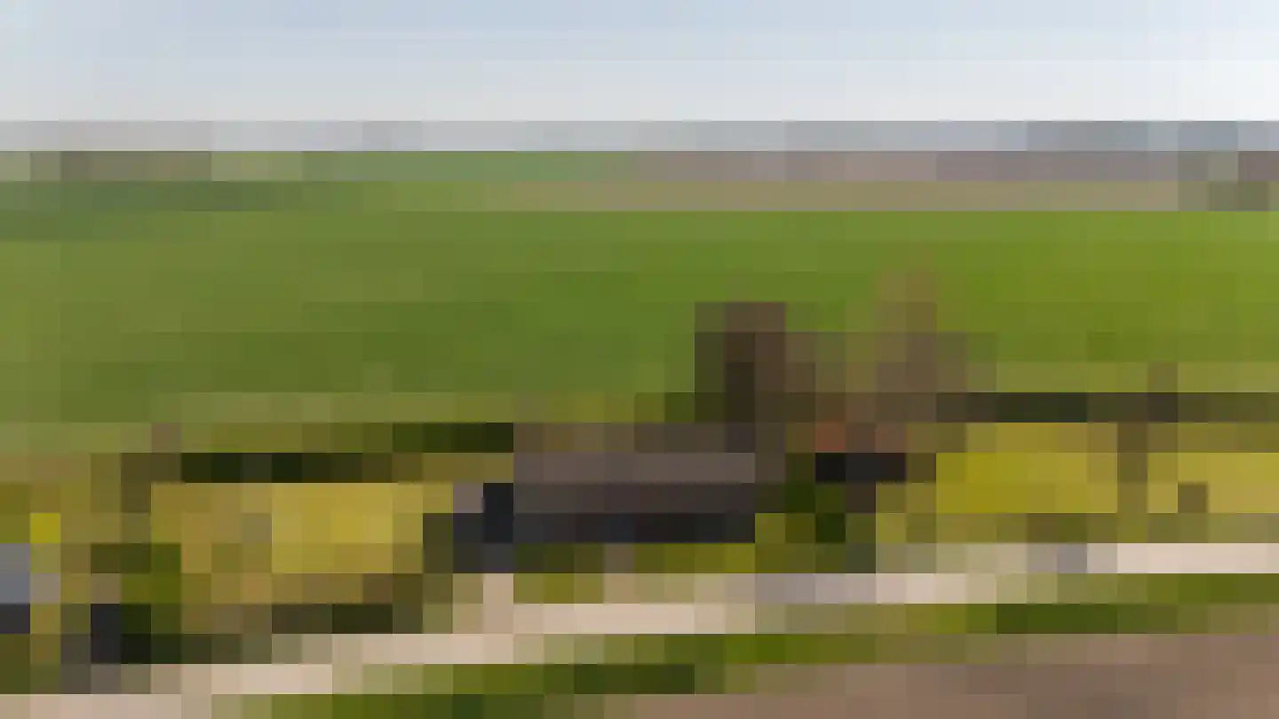 Mosseldijk 9 Nieuwvliet thumbnail 48