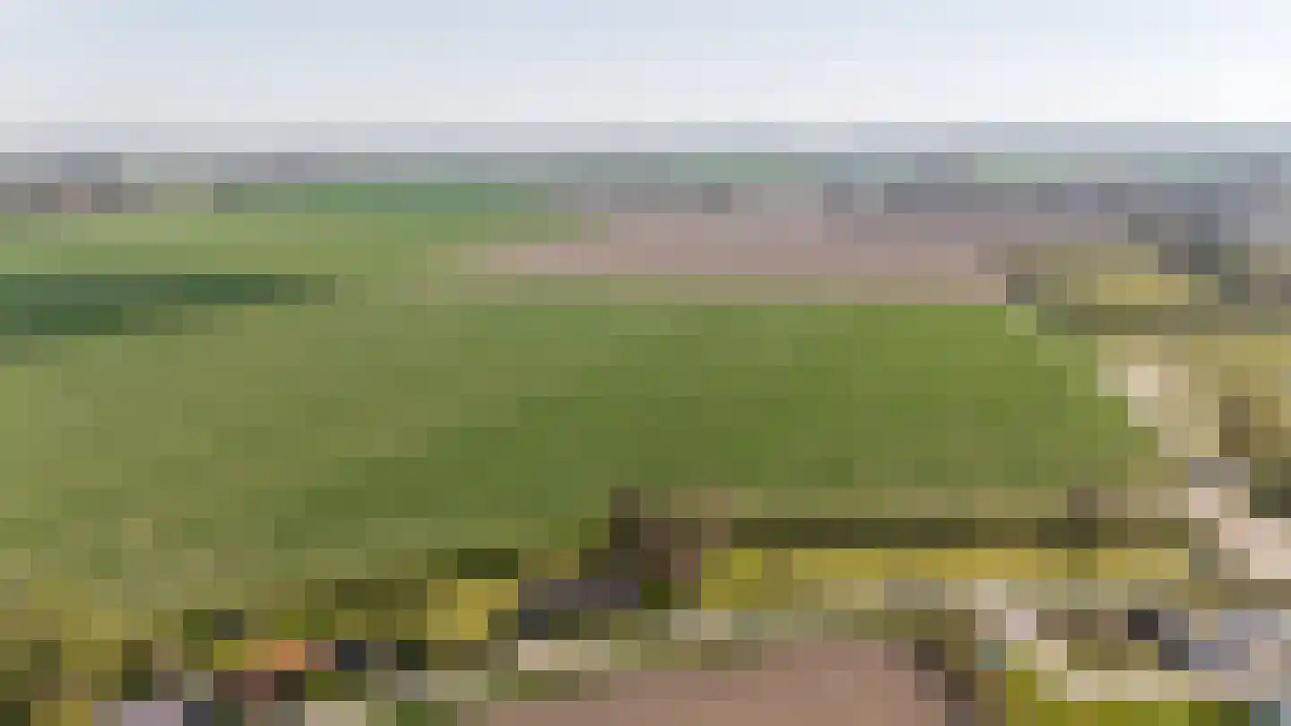 Mosseldijk 9 Nieuwvliet thumbnail 49