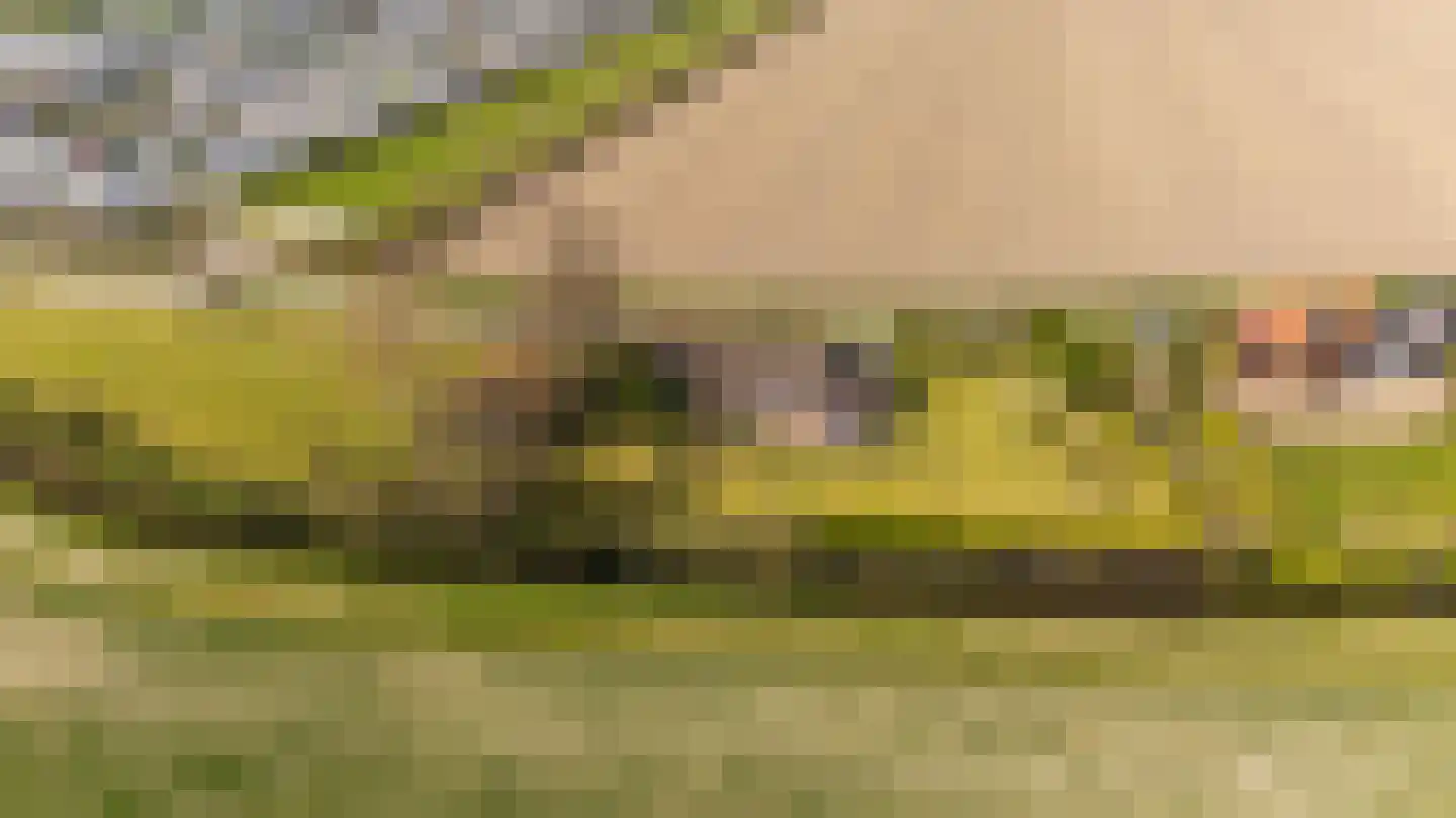 Mosseldijk 9 Nieuwvliet thumbnail 50