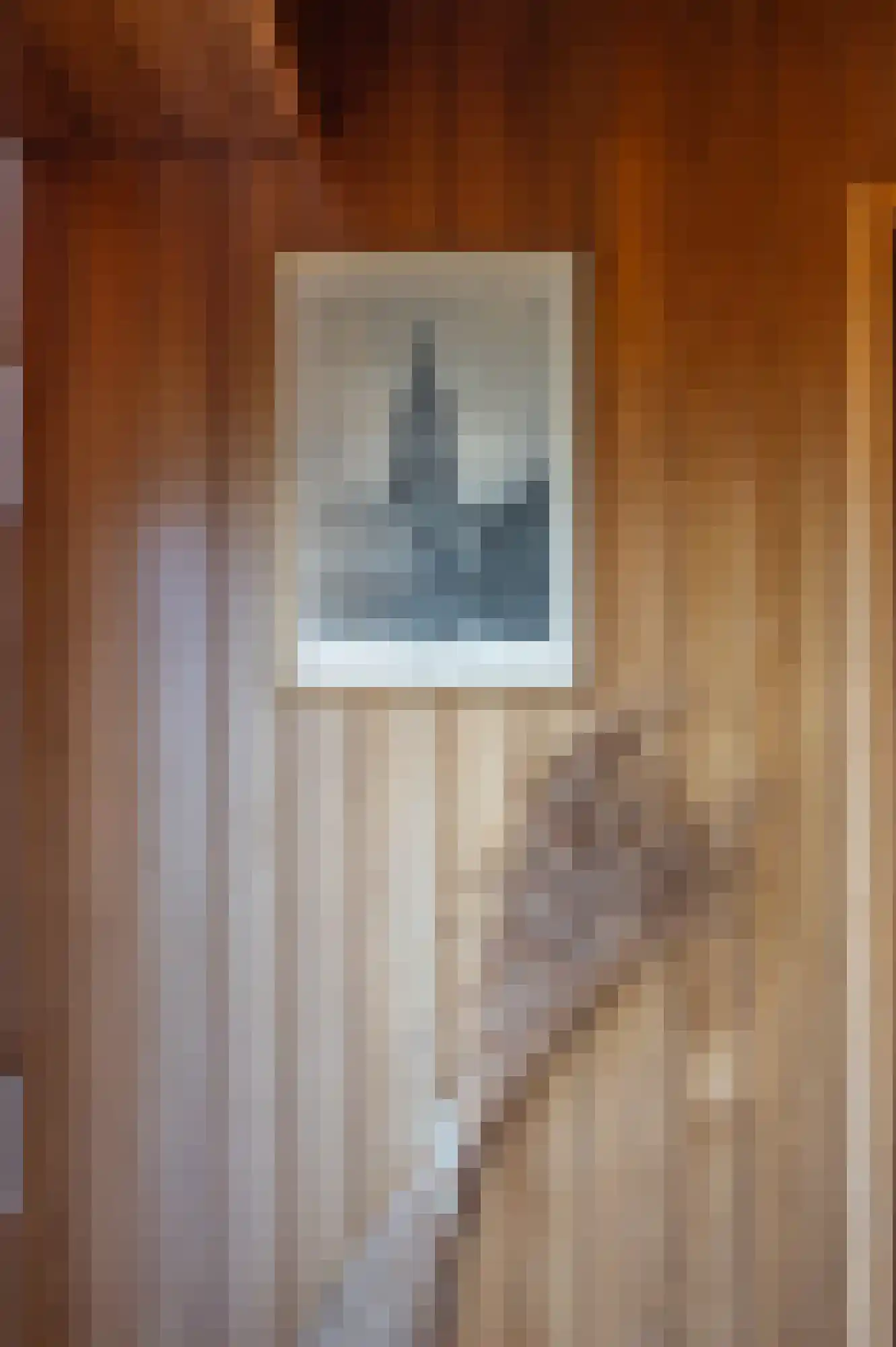Mosseldijk 9 Nieuwvliet thumbnail 9
