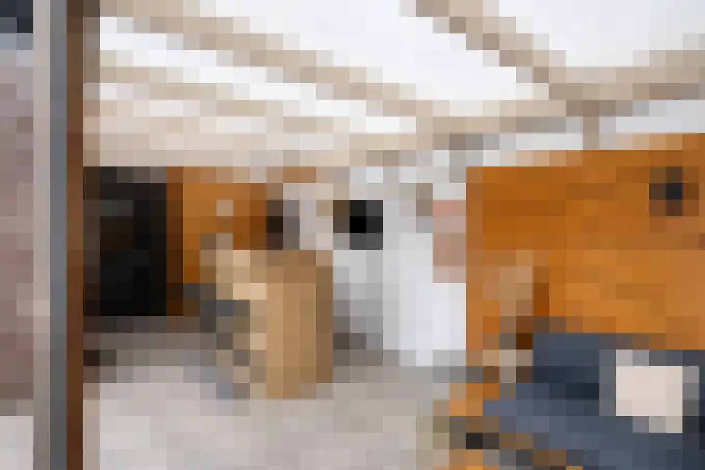 Mosselhoekplein 1 Tilburg thumbnail 43