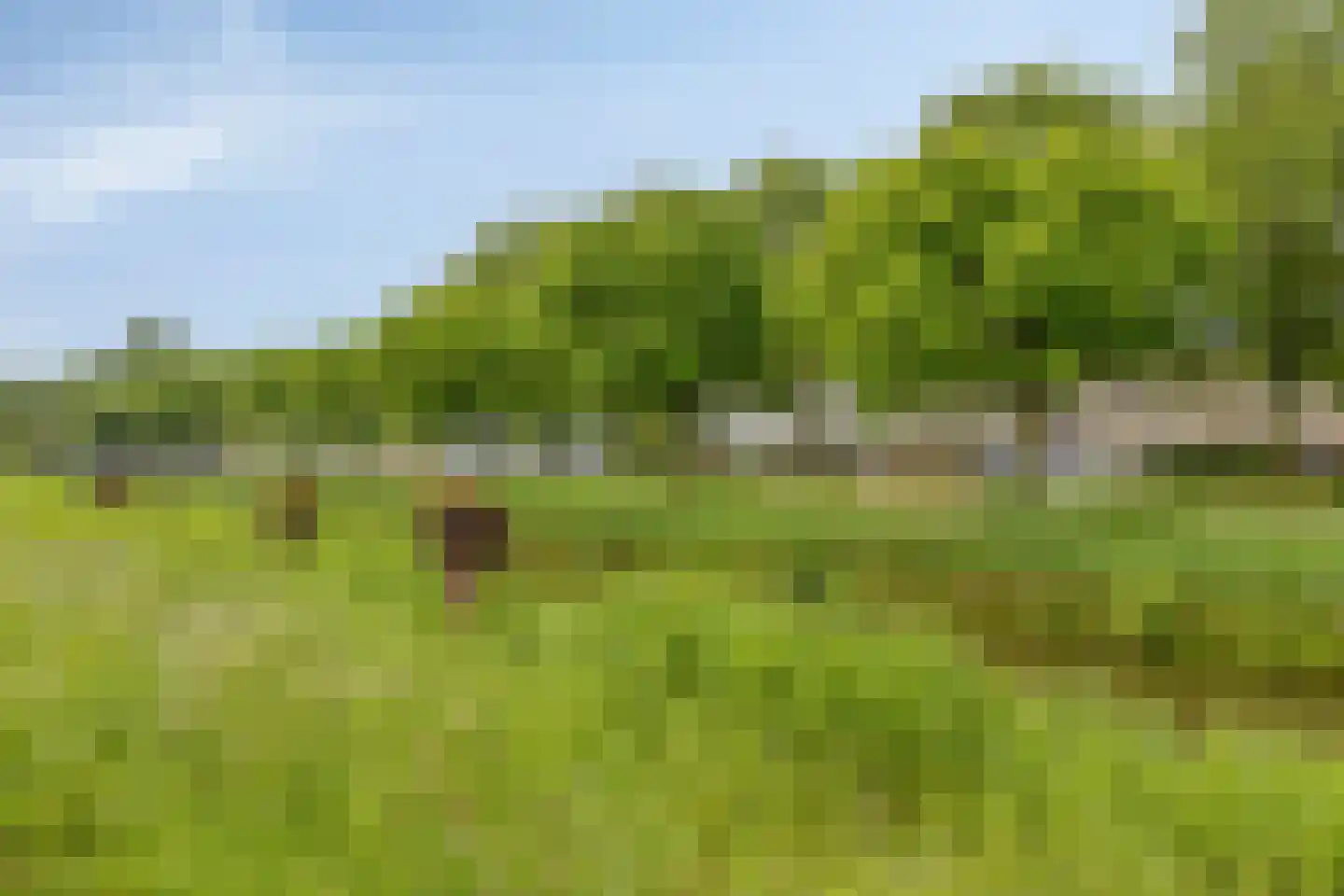 Mosselhoekplein 7 Tilburg thumbnail 32