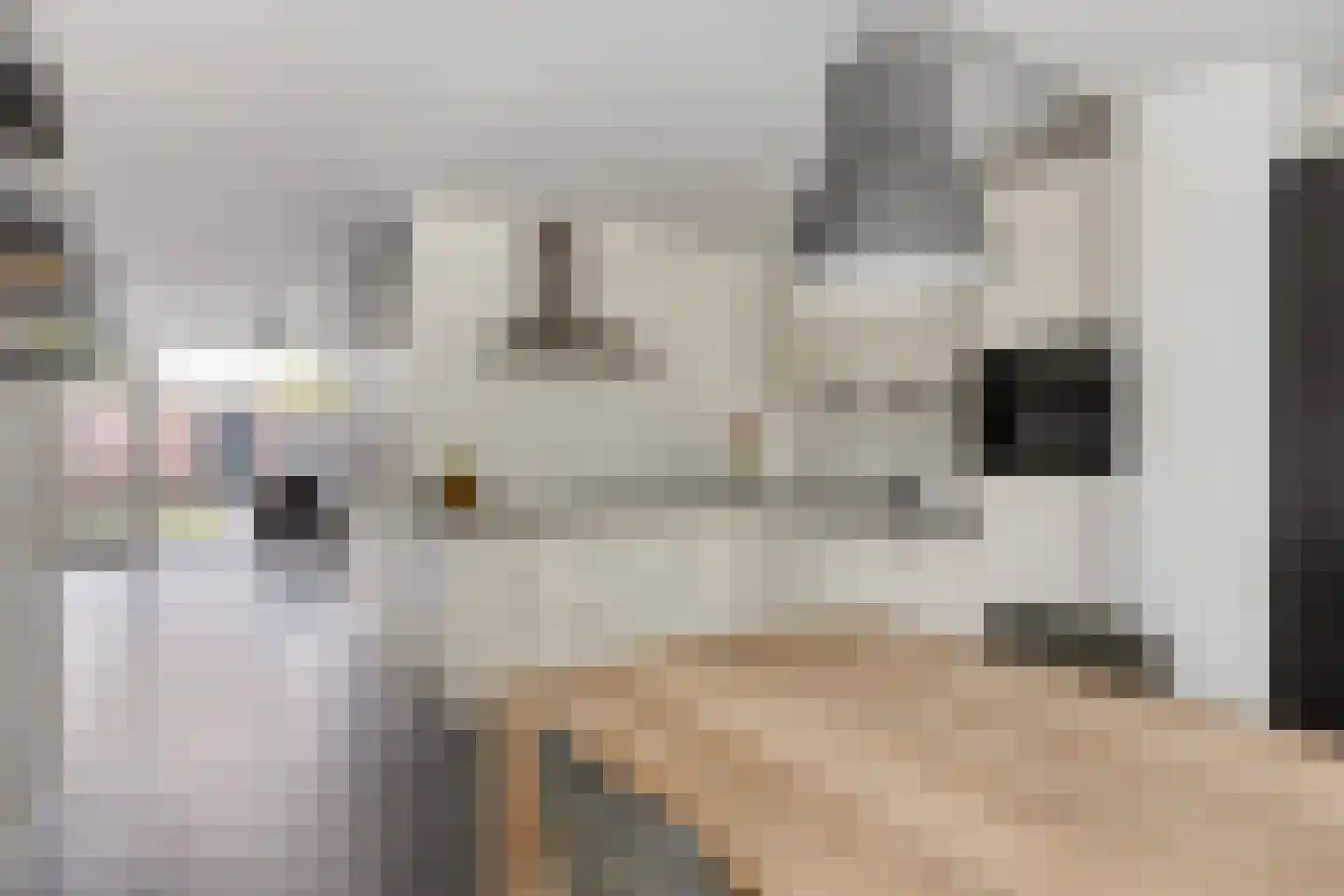 Mosselhoekplein 7 Tilburg thumbnail 8