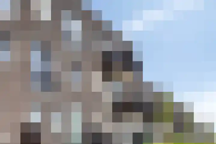 Mosselhof 57 Zeewolde thumbnail 27