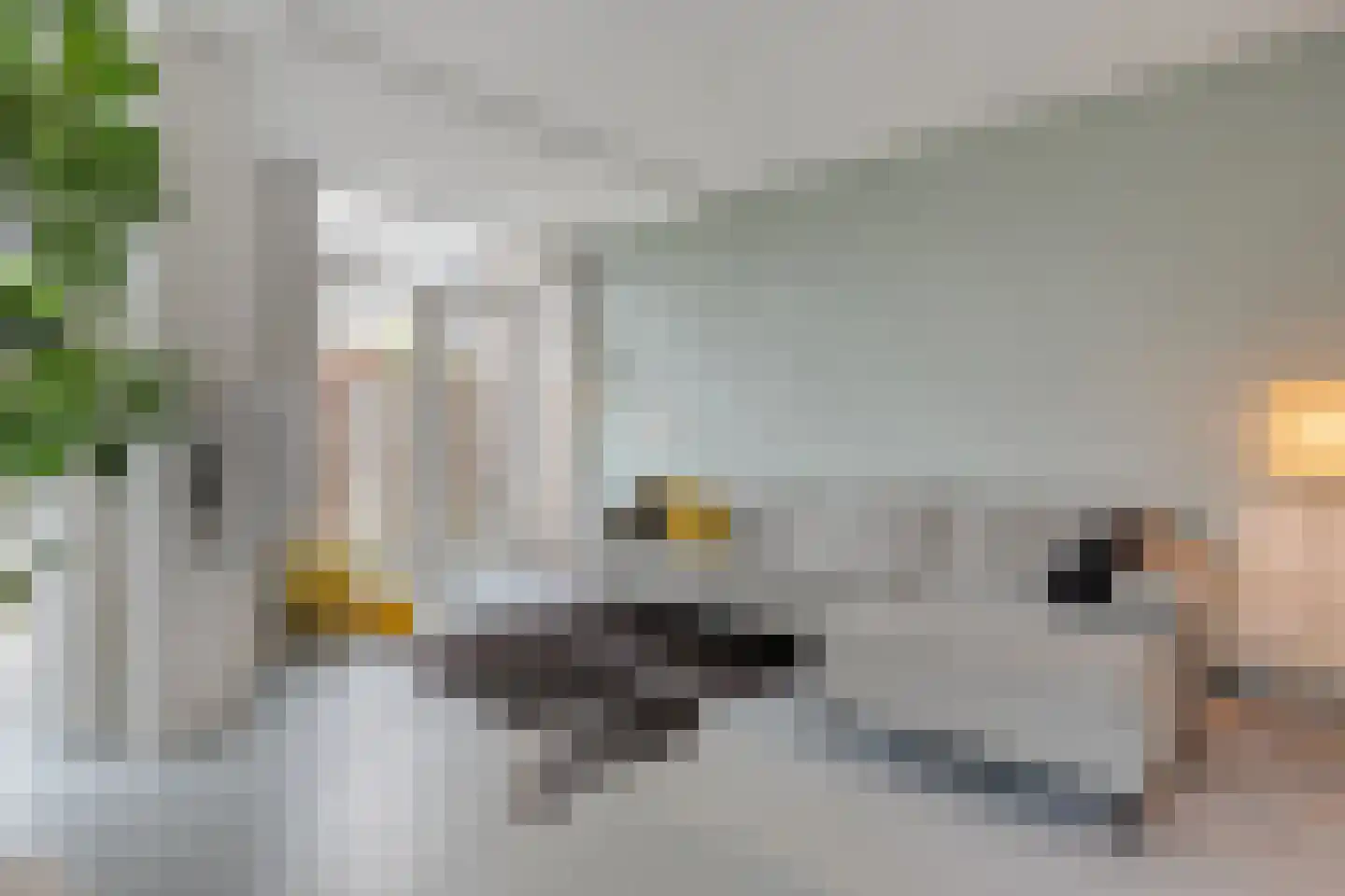 Mosselkreek 14 Zwolle thumbnail 10