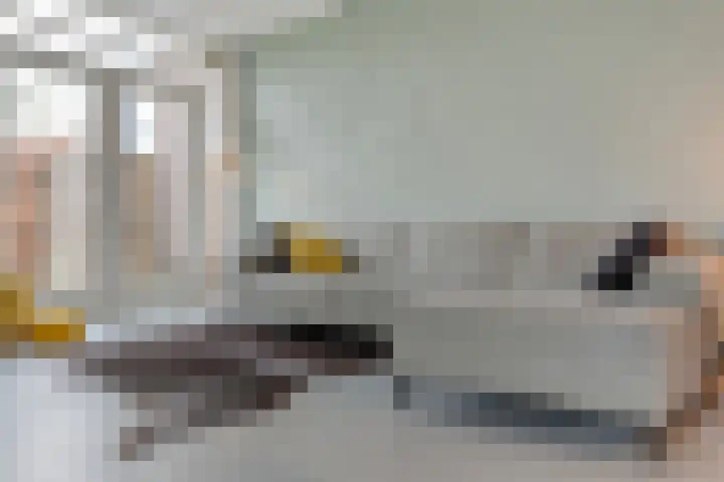 Mosselkreek 14 Zwolle thumbnail 13