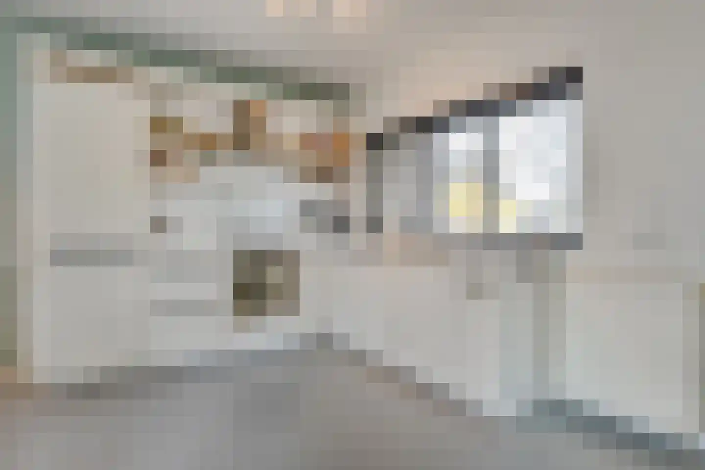 Mosselkreek 14 Zwolle thumbnail 17