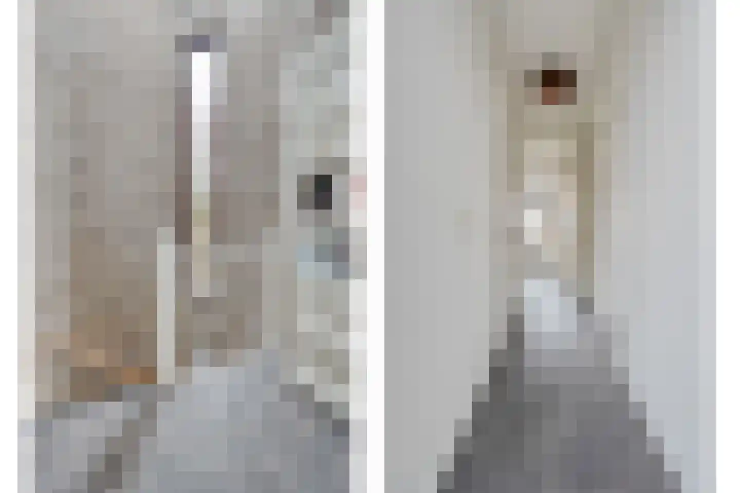 Mosselkreek 14 Zwolle thumbnail 23