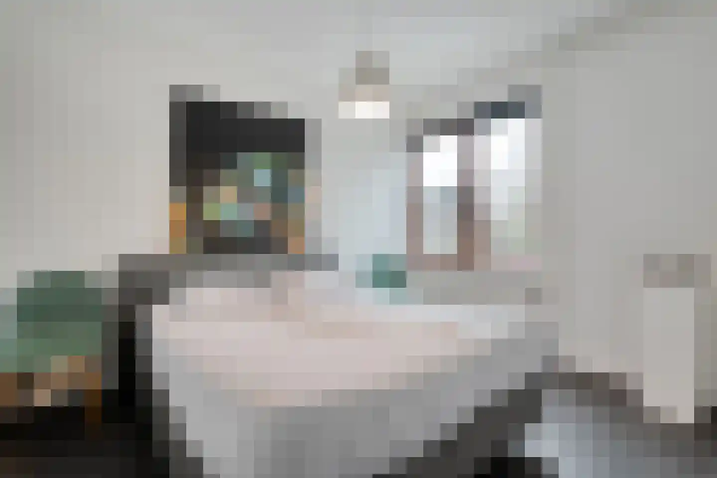Mosselkreek 14 Zwolle thumbnail 24