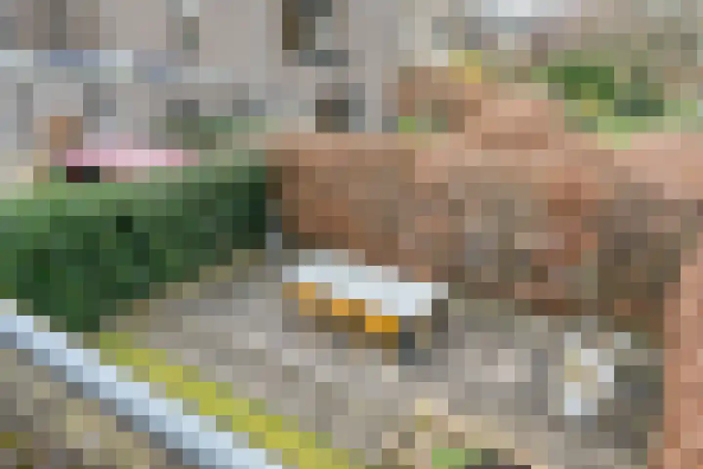 Mosselkreek 14 Zwolle thumbnail 33