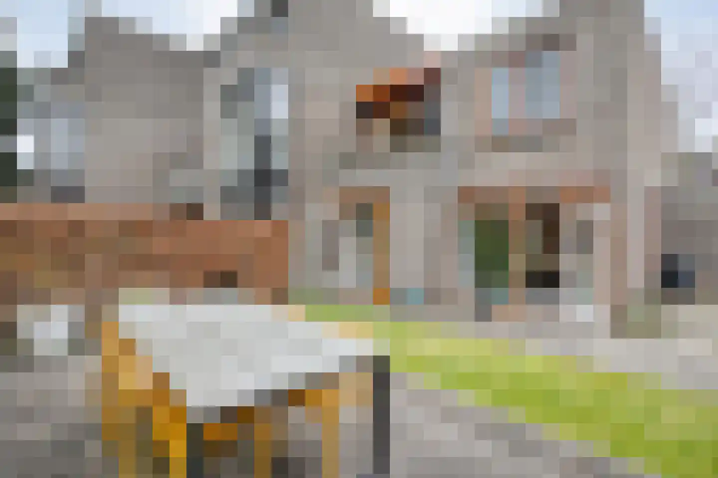 Mosselkreek 14 Zwolle thumbnail 38