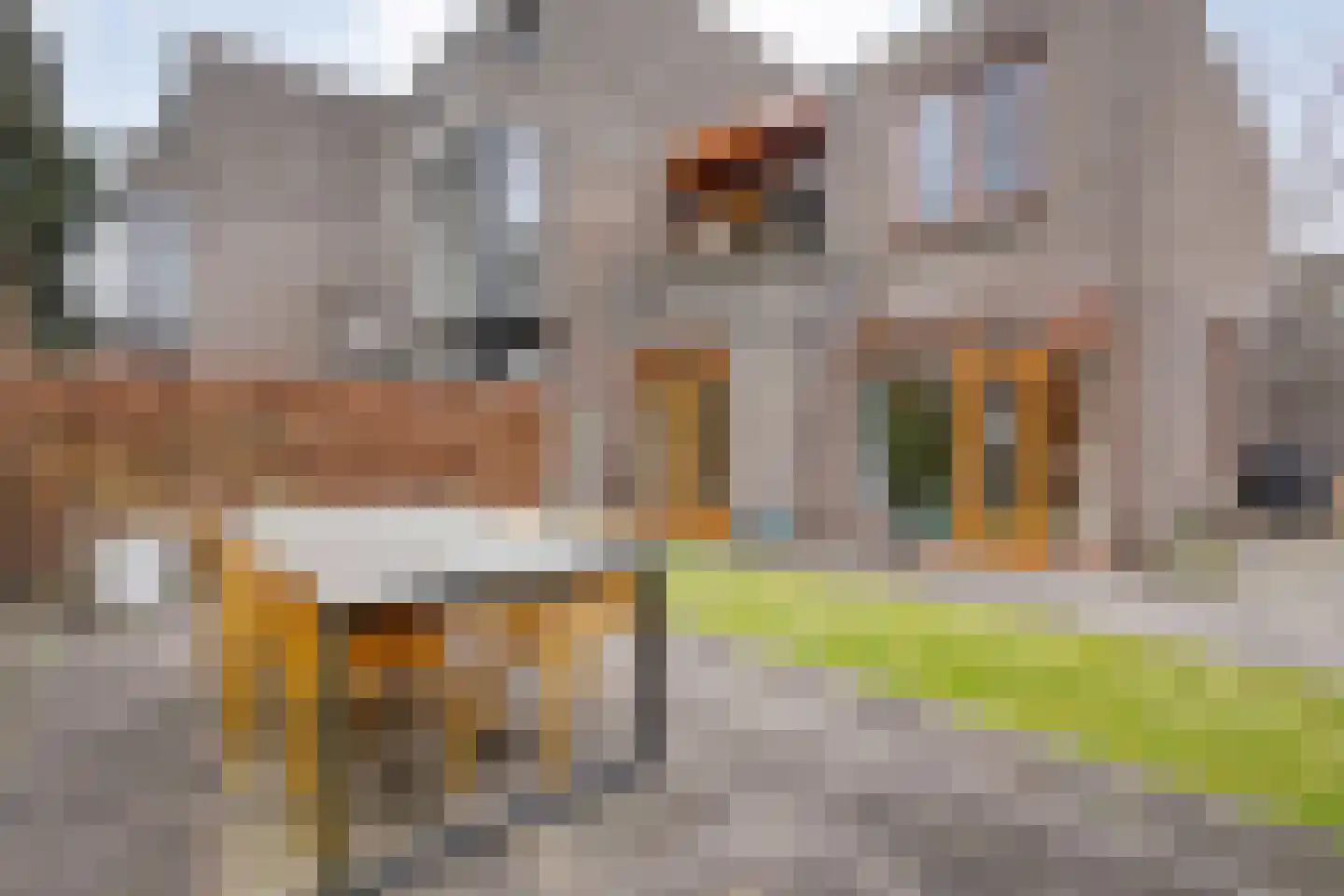 Mosselkreek 14 Zwolle thumbnail 40