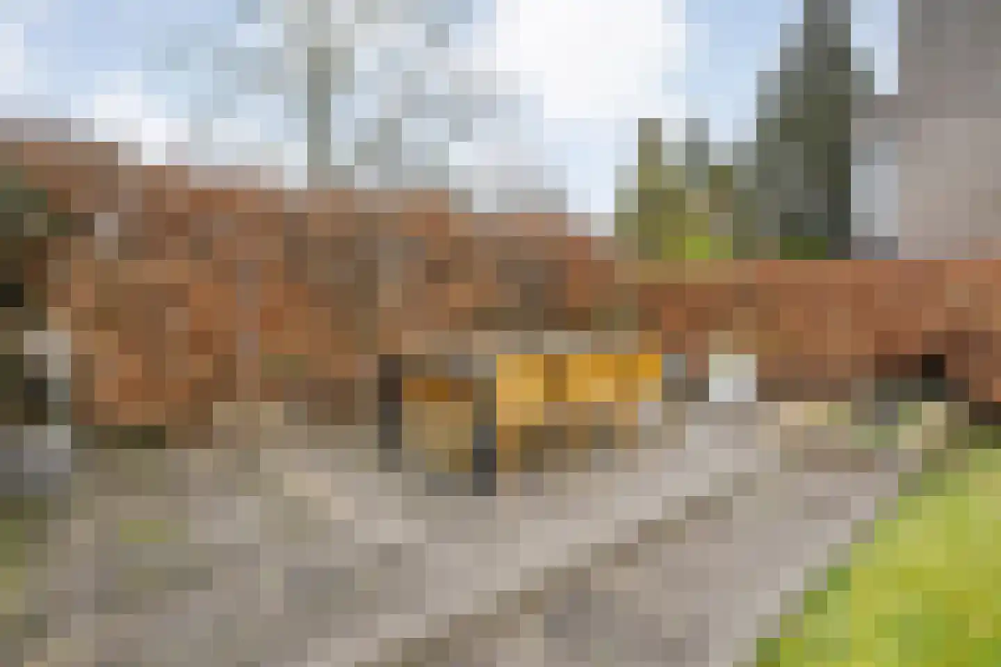 Mosselkreek 14 Zwolle thumbnail 49