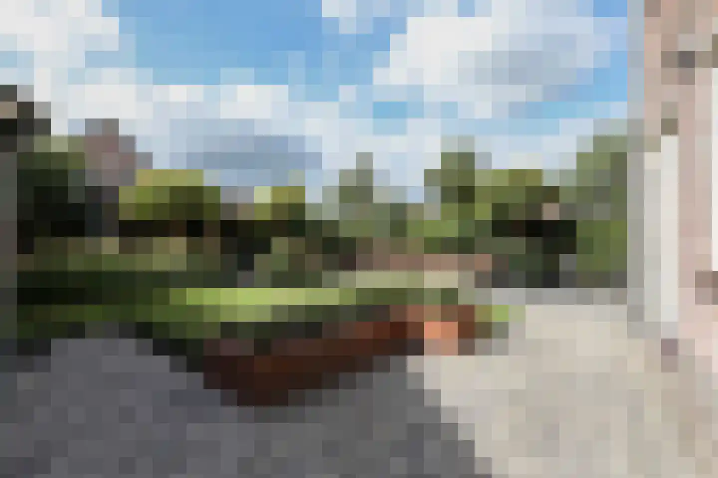 Mosselkreek 40 Amersfoort thumbnail 26
