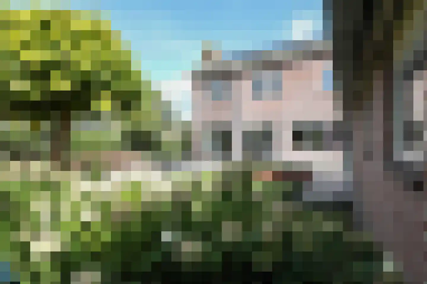 Mosselkreek 40 Amersfoort thumbnail 27