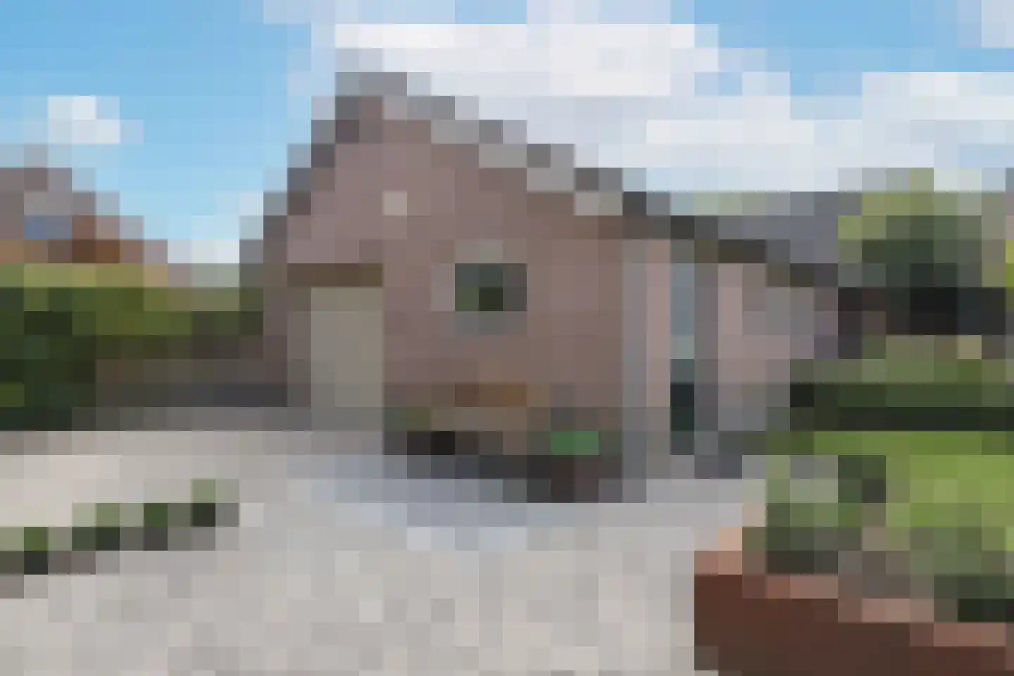 Mosselkreek 40 Amersfoort thumbnail 30