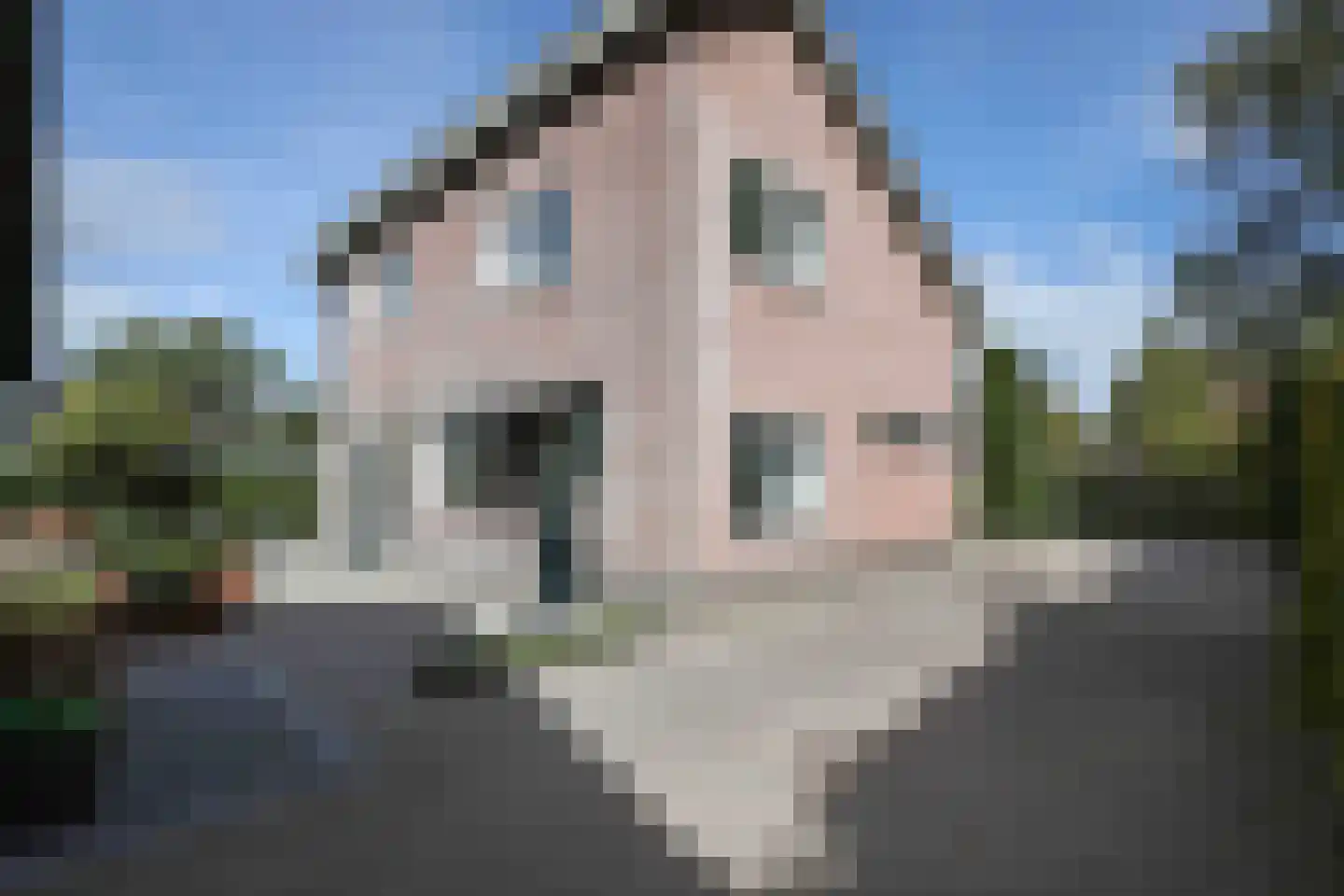 Mosselkreek 40 Amersfoort thumbnail 33