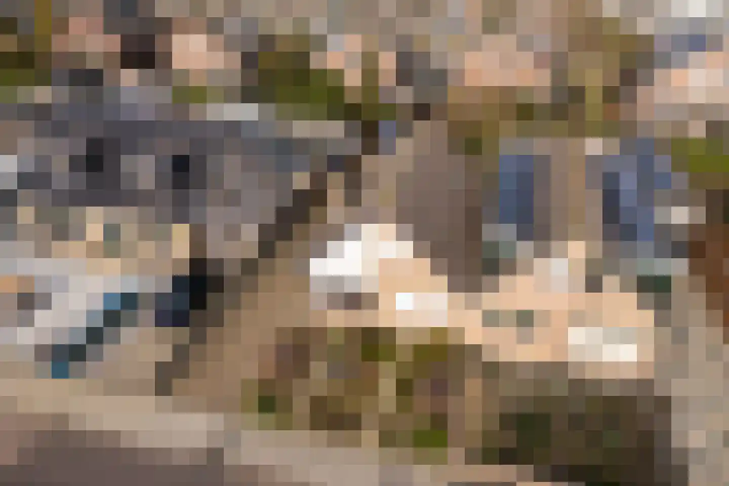 Mosselkreekstraat 16 Sint Philipsland thumbnail 57