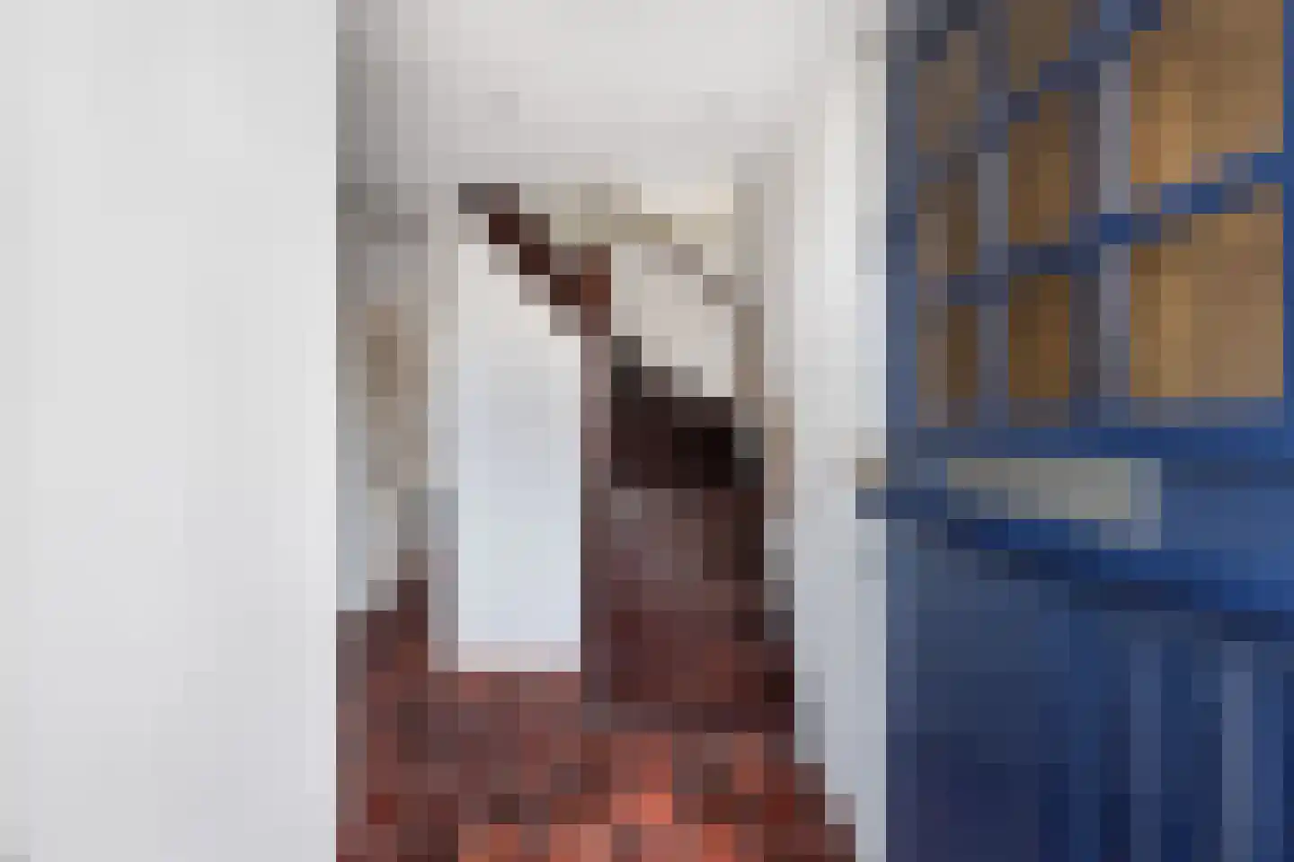 Mosselkreekstraat 16 Sint Philipsland thumbnail 7