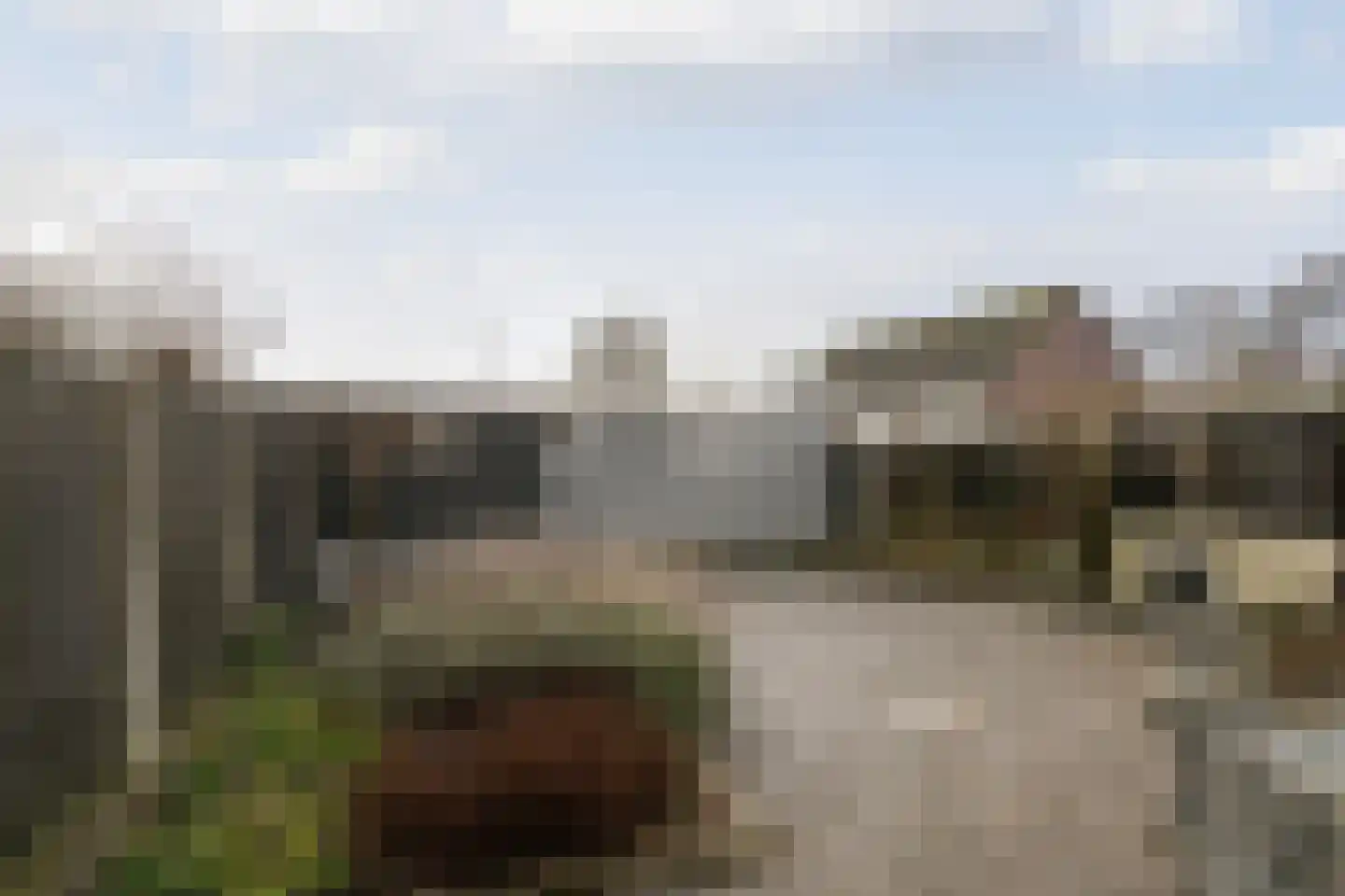 Mossellaan 2 Tholen thumbnail 34