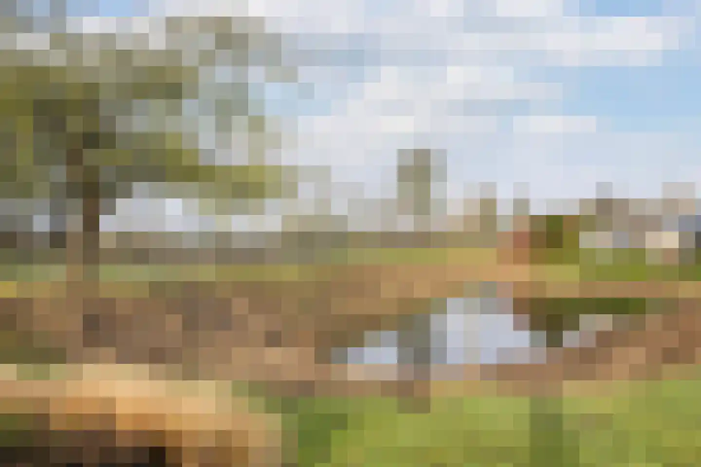 Mossellaan 2 Tholen thumbnail 38