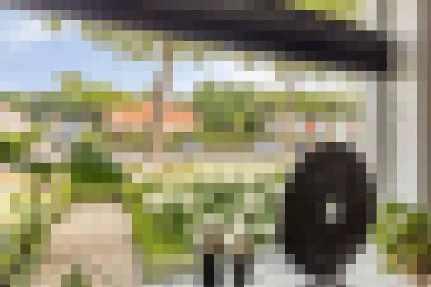 Mossellaan 50 Tholen thumbnail 14