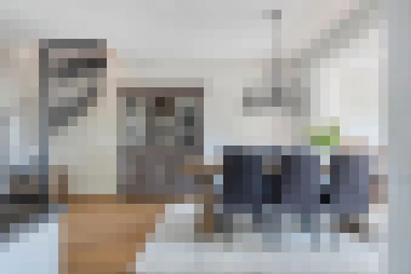 Mossellaan 50 Tholen thumbnail 18