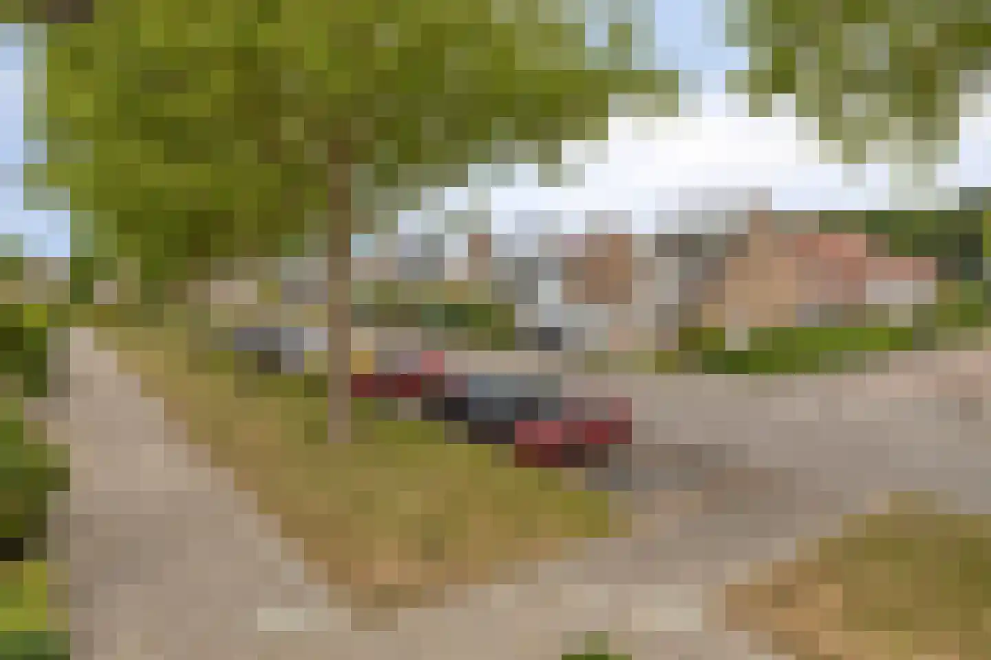 Mossellaan 50 Tholen thumbnail 37