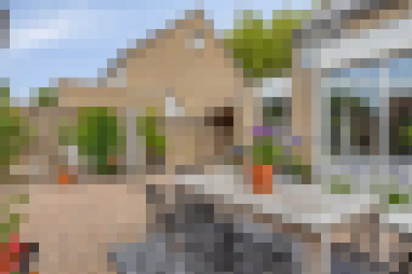 Mossellaan 50 Tholen thumbnail 56