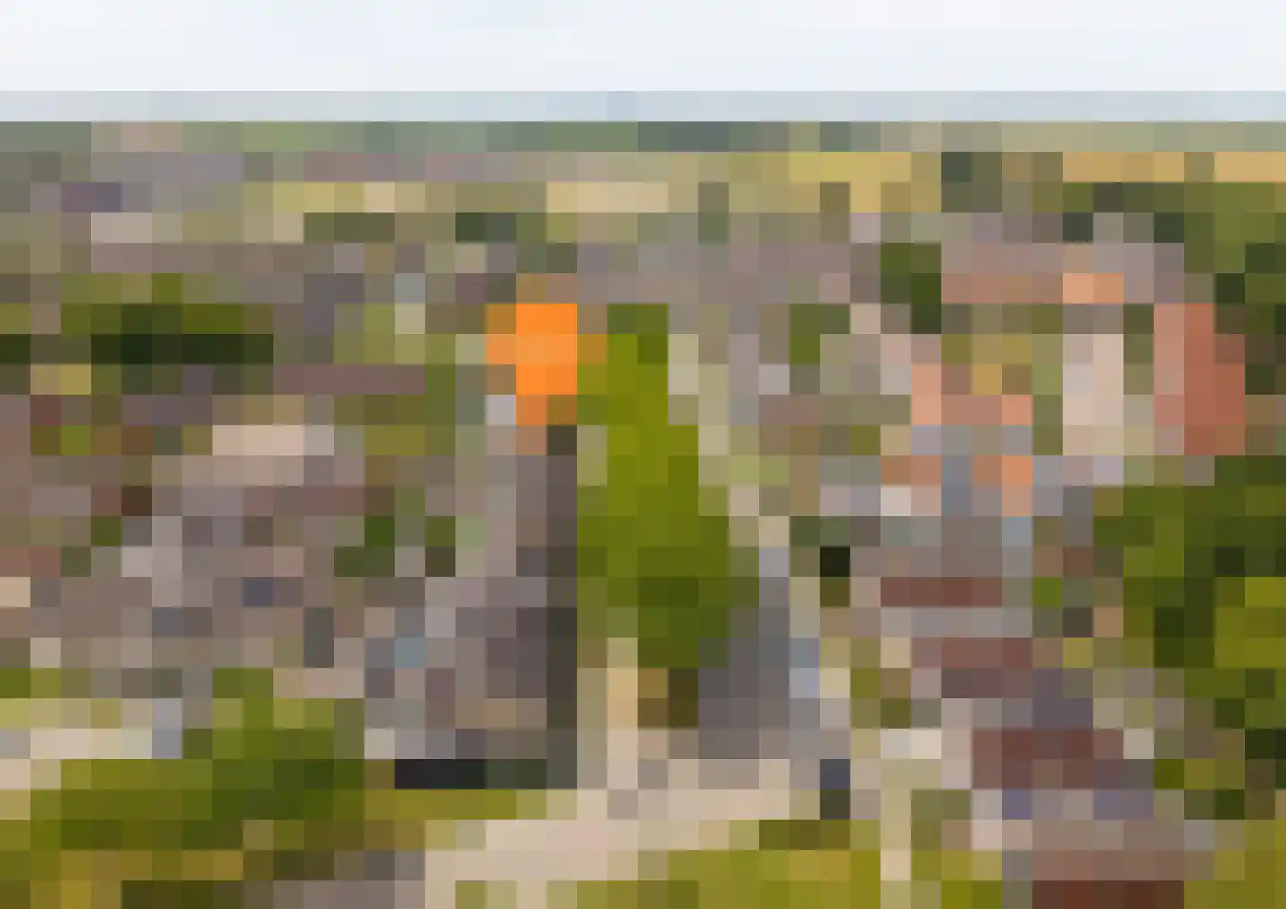 Mossellaan 50 Tholen thumbnail 6
