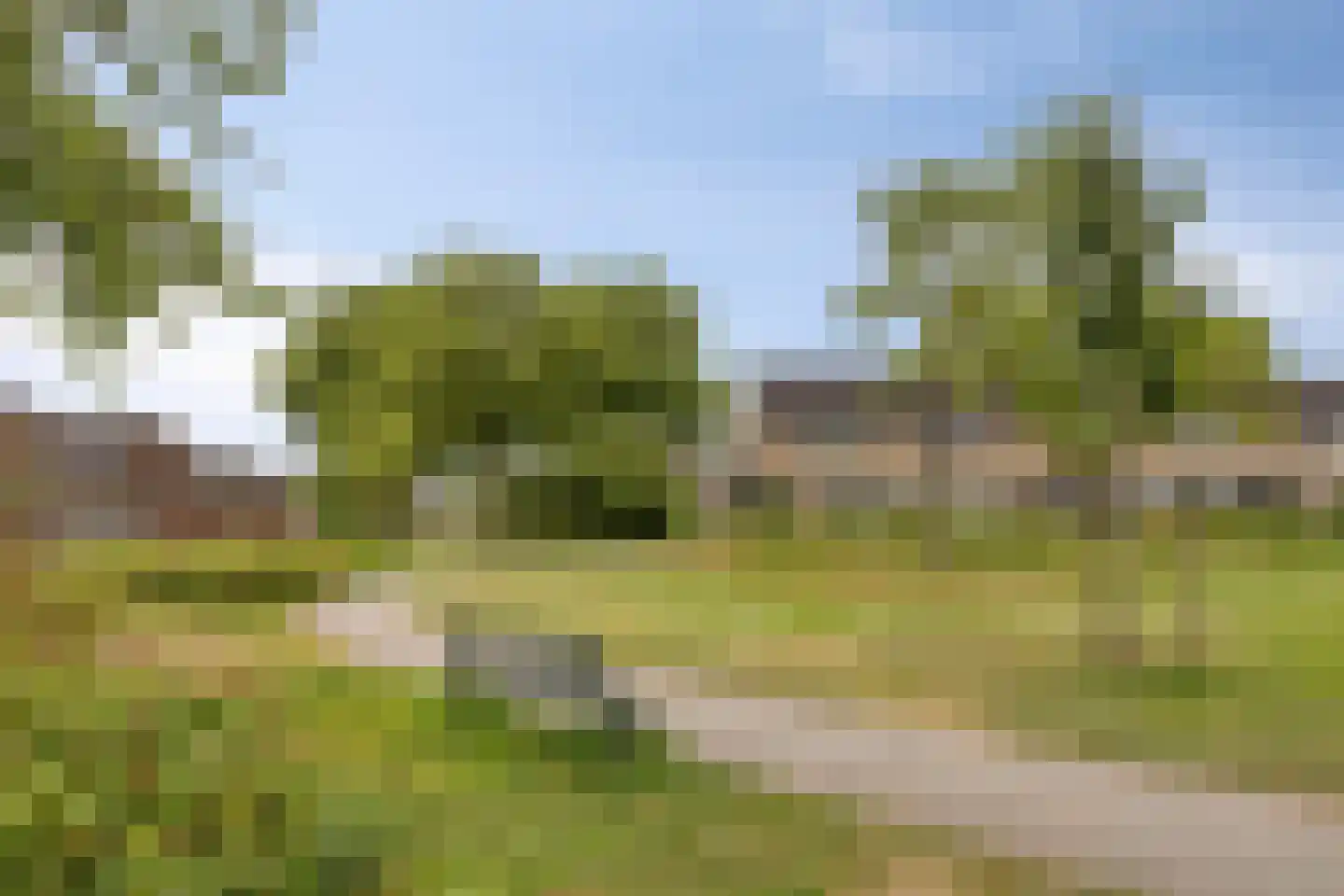 Mossellaan 50 Tholen thumbnail 71