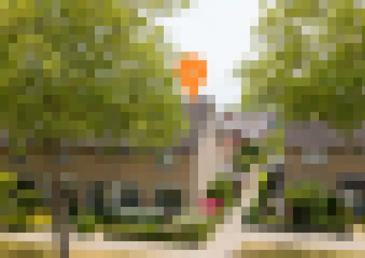 Mossellaan 50 Tholen thumbnail 74