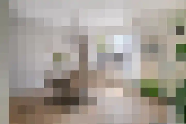 Mossellaan 62 Tholen thumbnail 11