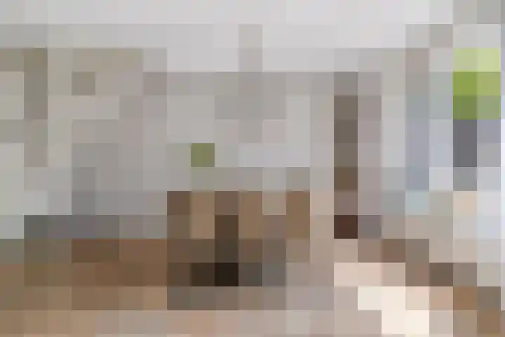 Mossellaan 62 Tholen thumbnail 12
