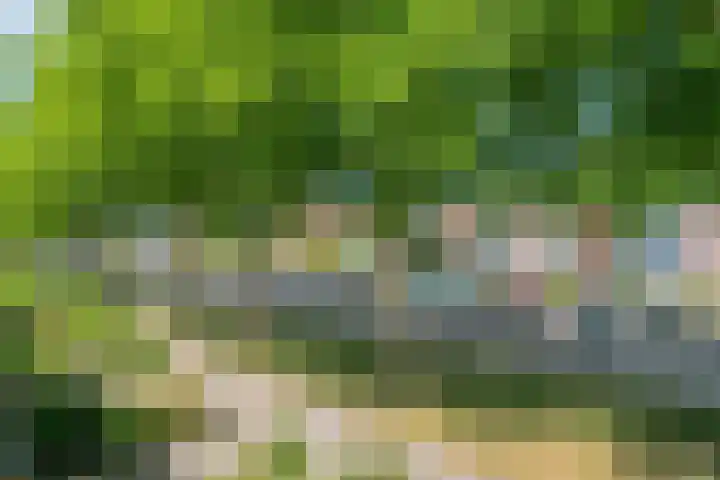 Mossellaan 62 Tholen thumbnail 27