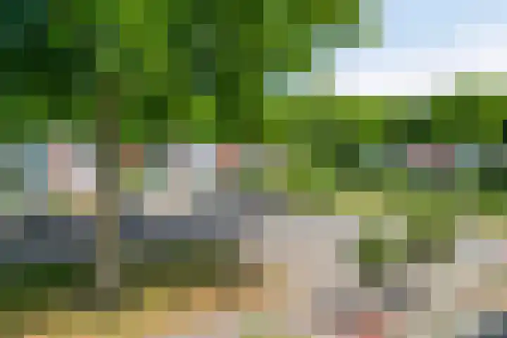 Mossellaan 62 Tholen thumbnail 28