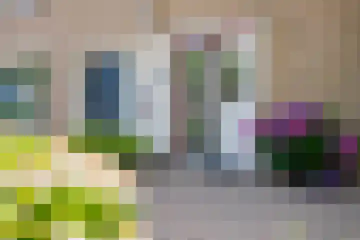 Mossellaan 62 Tholen thumbnail 4