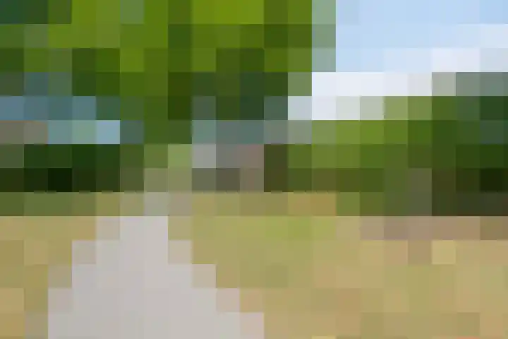 Mossellaan 62 Tholen thumbnail 56