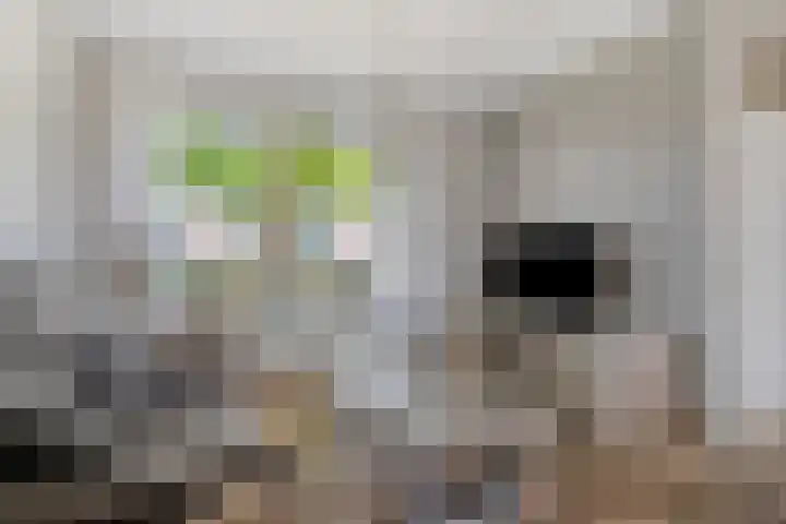 Mossellaan 62 Tholen thumbnail 8