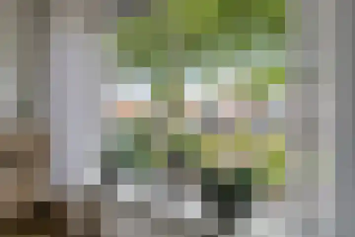 Mossellaan 62 Tholen thumbnail 9