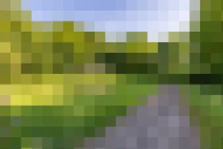 Mosselsepad 14 Otterlo thumbnail 10