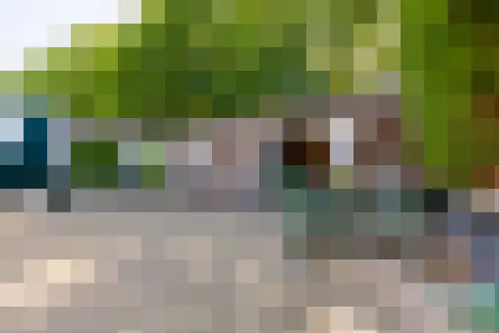 Mosselsepad 14 Otterlo thumbnail 12
