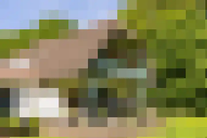 Mosselsepad 14 Otterlo thumbnail 21