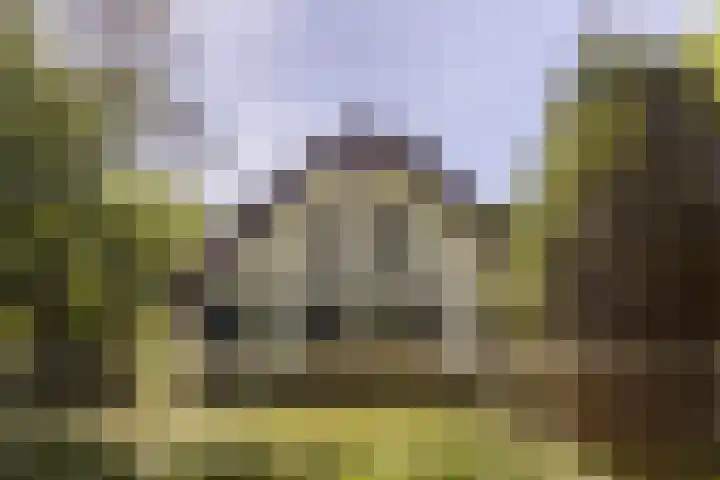 Mosselsepad 14 Otterlo thumbnail 23