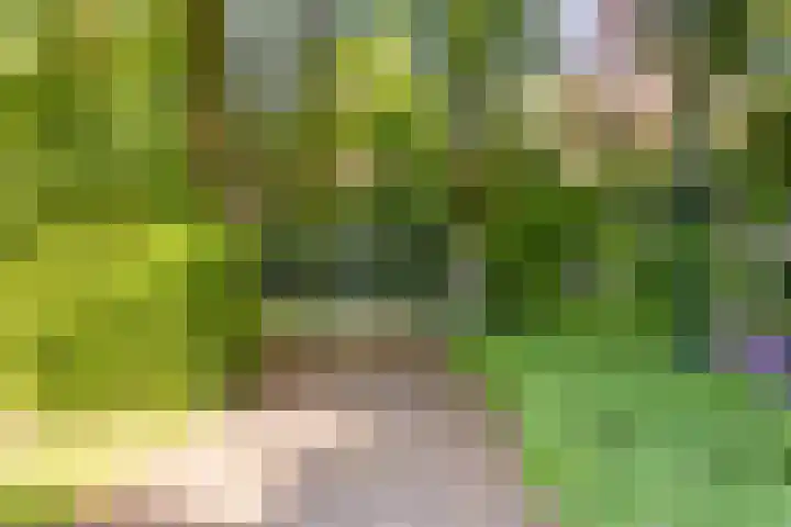 Mosselsepad 14 Otterlo thumbnail 27