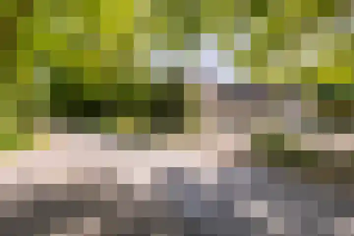 Mosselsepad 14 Otterlo thumbnail 4