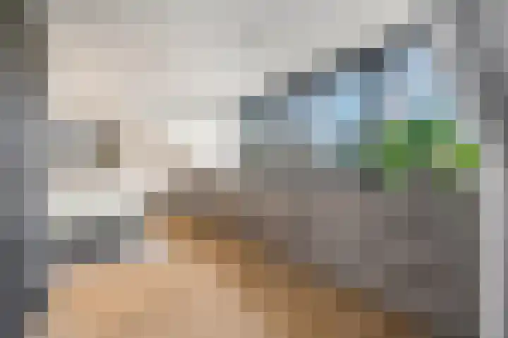 Mosselsepad 24 A Otterlo thumbnail 23