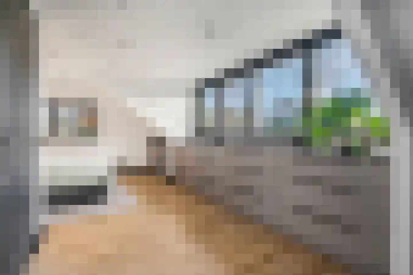 Mosselsepad 24 A Otterlo thumbnail 23
