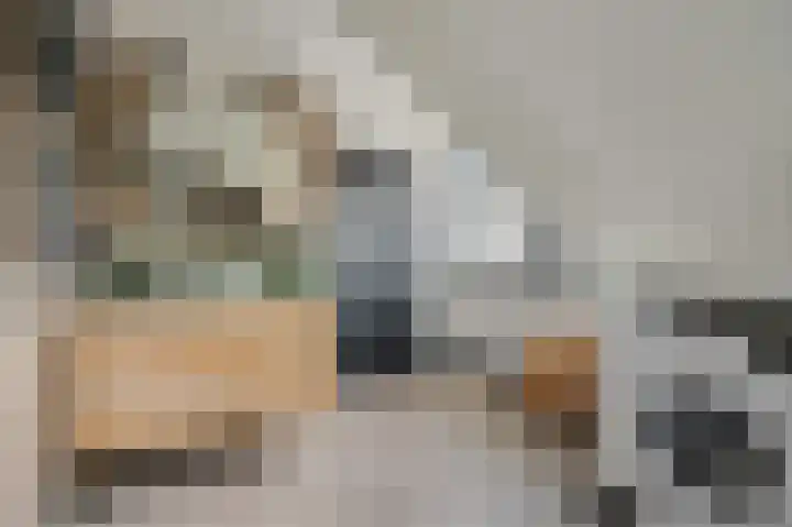 Mosselsepad 24 A Otterlo thumbnail 26
